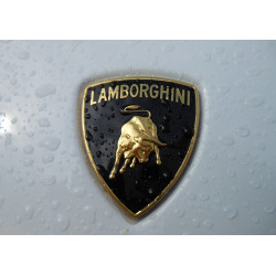 Lamborghini Logo - Syötävä...