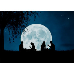 Picnic in the moonlight -...