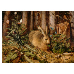 A Hare in the Forest -...