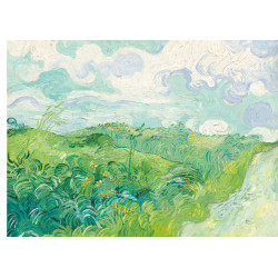 Field with Green Wheat -...