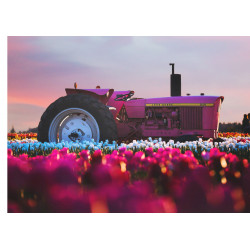 John Deere pink tractor -...