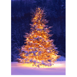 Christmasy tree - edible...