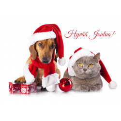 Christmas cat and dog -...