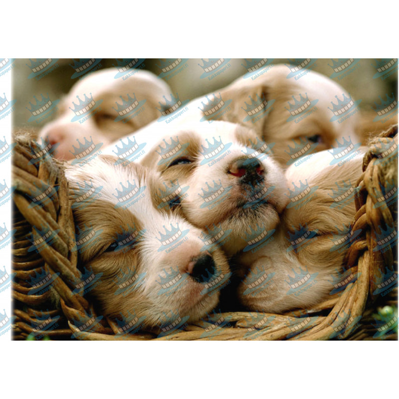 Puppies - Edible cake topper