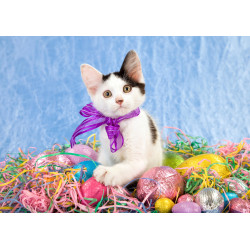 Easter - Easter kitten -...