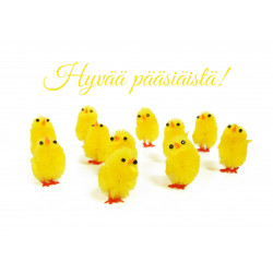 Easter - Easter chicks -...
