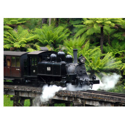 Steam locomotive - Edible...