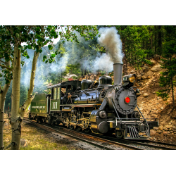 Steam locomotive in forest...