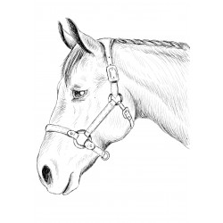 En ritad häst - En ätbar...
