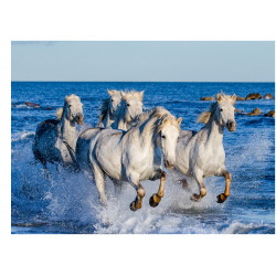 Vilda hästar på stranden -...