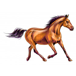 Horse Galloping Drawing -...