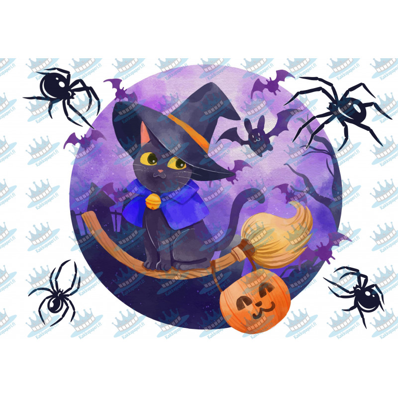 En Halloween häxa katt med spindel - En ätbar tårtbild för en kaka
