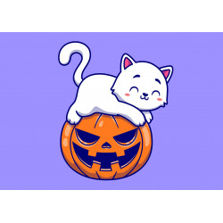 White Cat Laying On Pumpkin