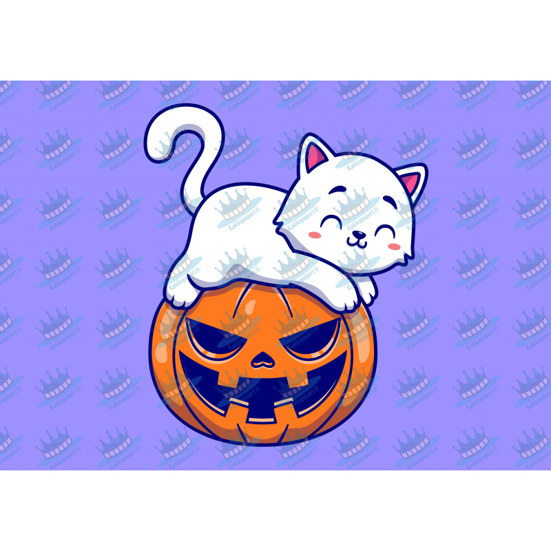 White Cat Laying On Pumpkin