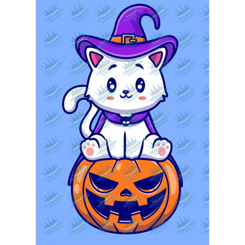 White Cat Sitting On Pumpkin
