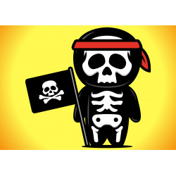 Skeleton Flag Pirate Jolly Roger