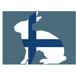 En finsk kanin - En ätbar tårtbild för en kaka