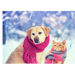 Dog and Cat with scarves - edible cake topper