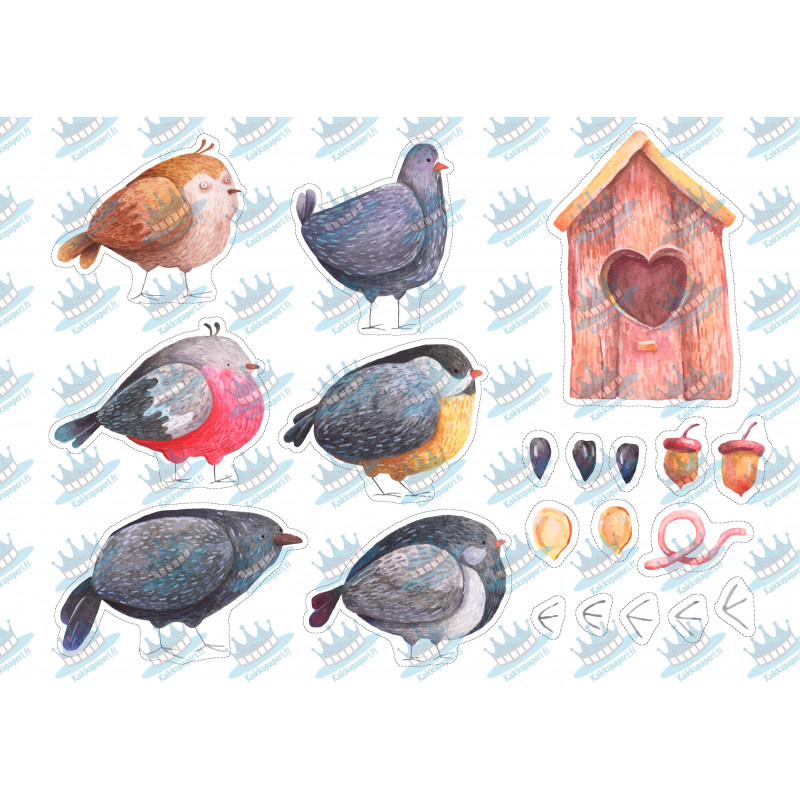 Watercolor Birds - Edible cutouts