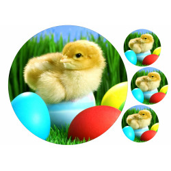 Easter - Easter chick and easter eggs - edible cake topper