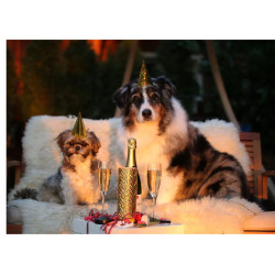 Party animals - juhlivat koirat - Syötävä kakkukuva kakkuun