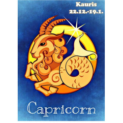 Star sign: Capricorn - Edible cake topper