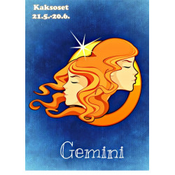 Star sign: Gemini - Edible cake topper