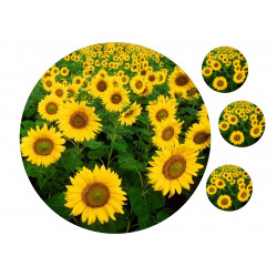 Sunflowers - Edible cake topper