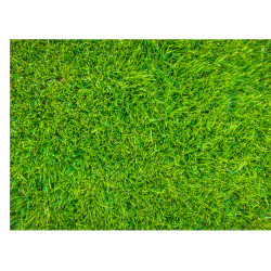 Edible grass pattern rectangle