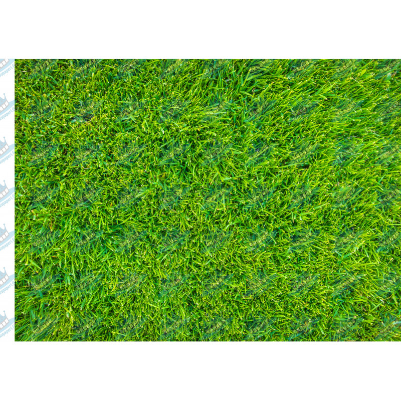 Edible grass pattern rectangle