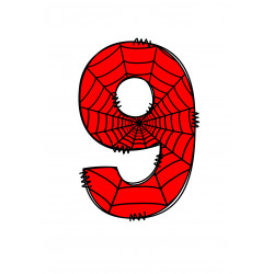 Spider web number nine -...