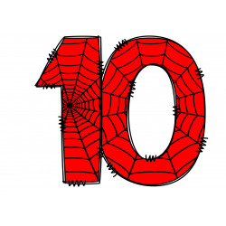 Spider web number ten -...