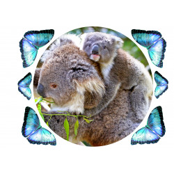 Koala pyöreä kakkukuva - Syötävä kakkukuva kakkuun