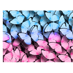 Blå och rosa fjärilar - Ätbar tårtabild för tårta