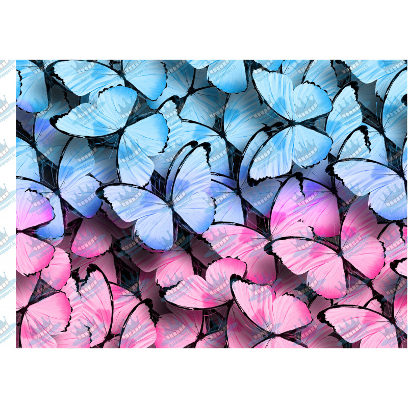 Blå och rosa fjärilar - Ätbar tårtabild för tårta