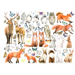 Forest animals - Edible...