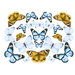 Blå och gyllene fjärilar -...